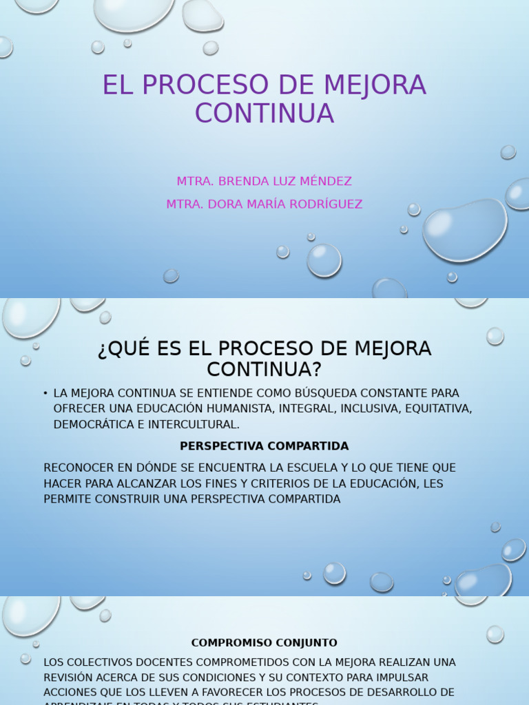 El Proceso de Mejora Continua | PDF