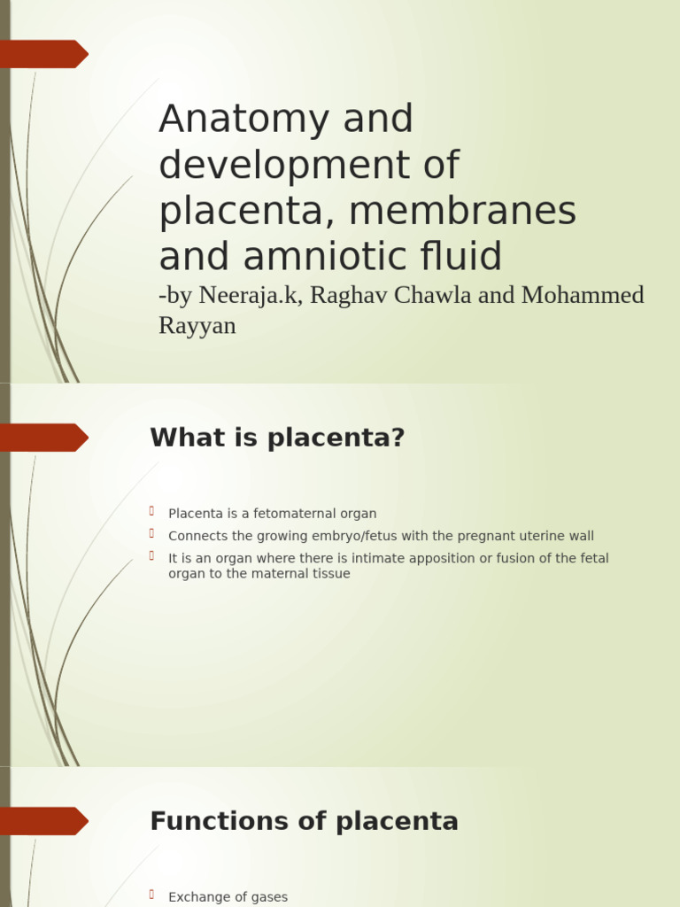 Anatomy and Development of Placenta, Membranes and Amniotic Fluid | PDF