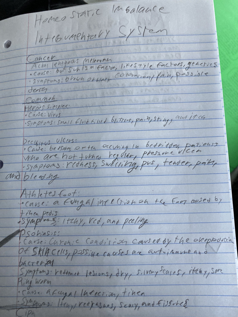 Anatomy Notes | PDF