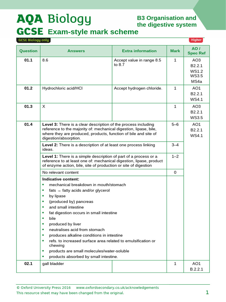 B2 Digestive Sytstem H Exam Style Answers | PDF