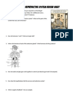 Endocrine Reproductive Review Sheet