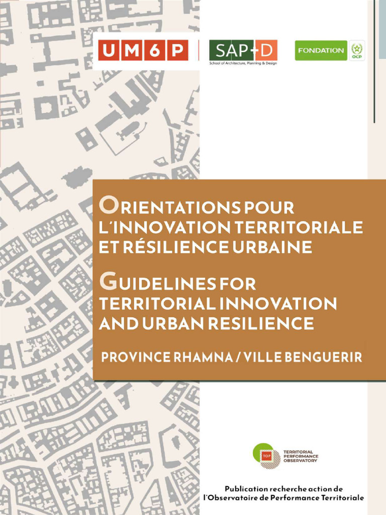 Guidelines For Territorial Innovation and Urban Resilience | PDF ...
