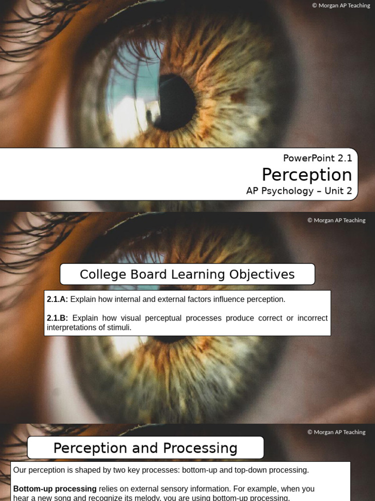 2.1 - Perception | PDF