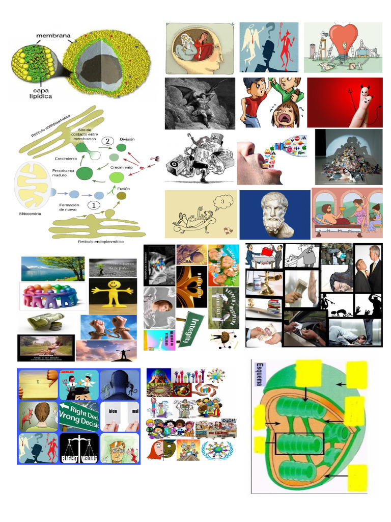 Collage | PDF