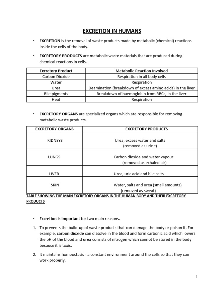 Excretion In Humans Plants Pdf