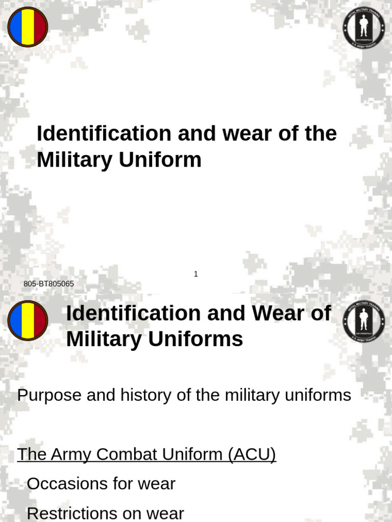 Ar 670-1 | PDF