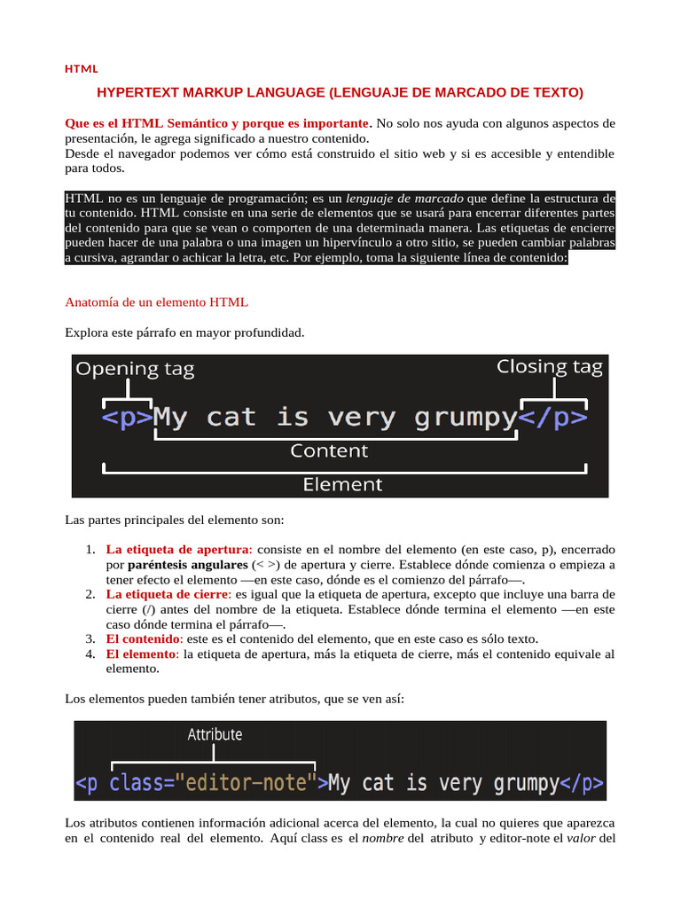 HTML Estructura de Estudio | PDF