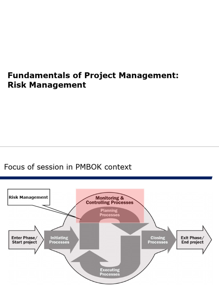 Fundamentals of Project Management: Risk Management | PDF