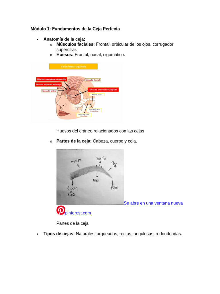 Modulo de Cejas | PDF