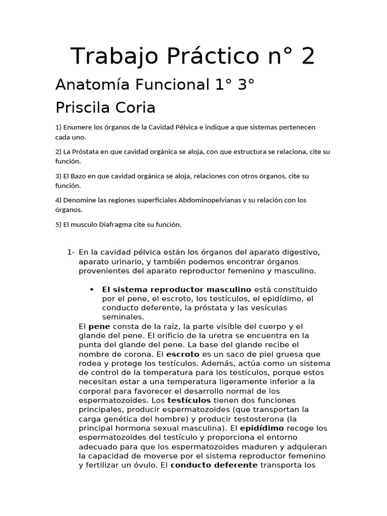 Trabajo Práctico N°2 | PDF