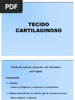 Download Tecido CARTILAGINOSO by Vinicius De Miranda Briani SN78094219 doc pdf
