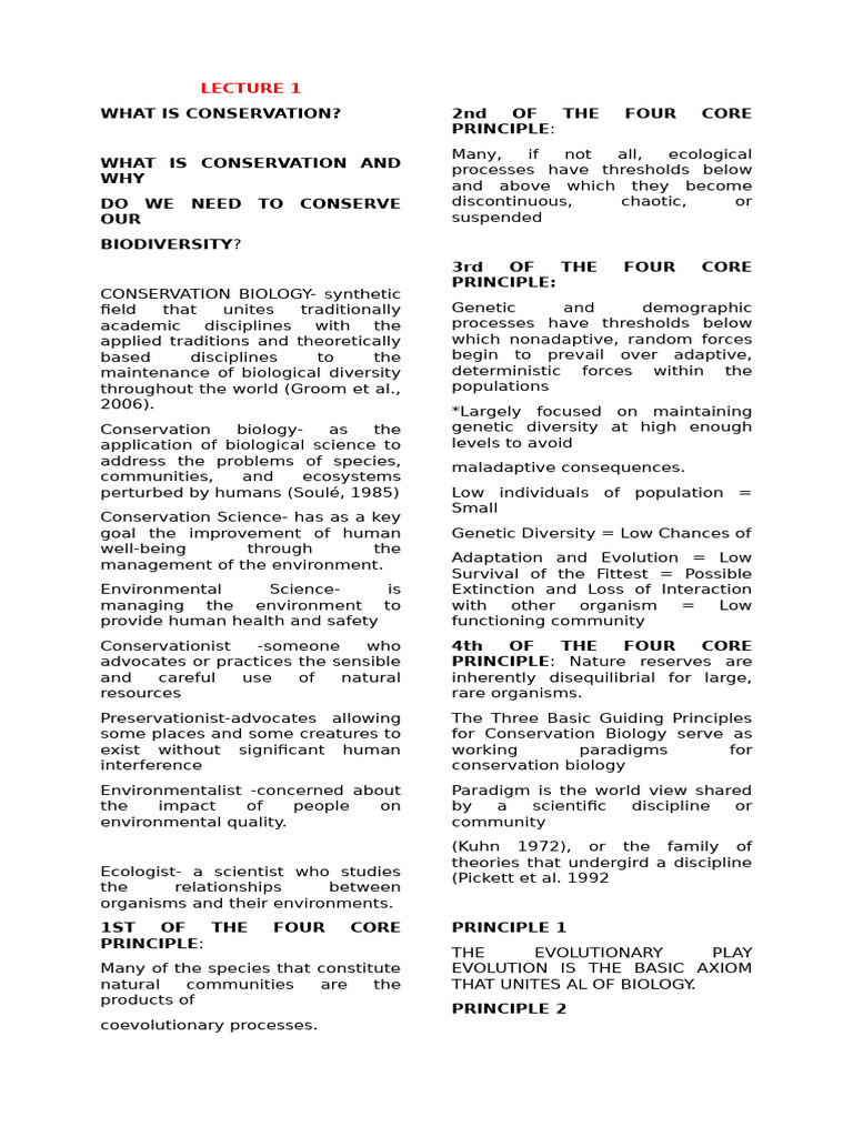 Yyy | PDF