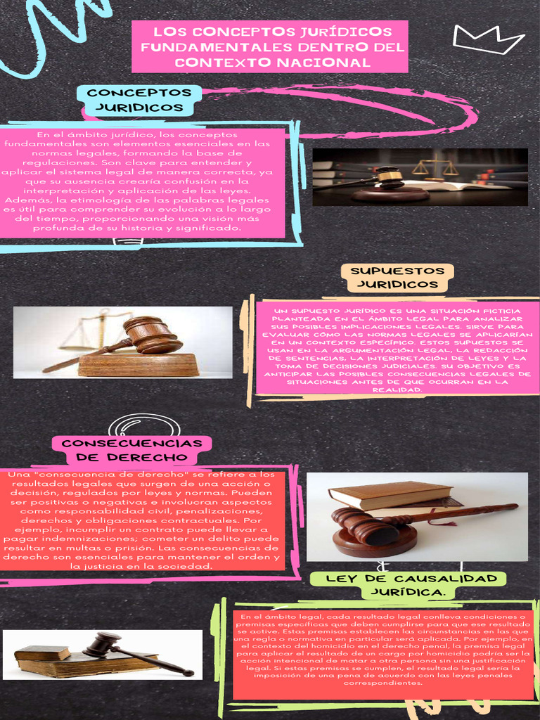 INFOGRAFIA DERECHO - Compressed | PDF