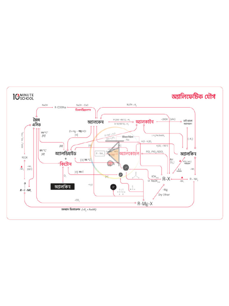 Interactive Organic Pdf