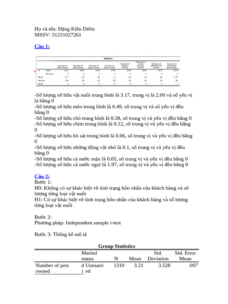 Business Analystic 1 Pdf