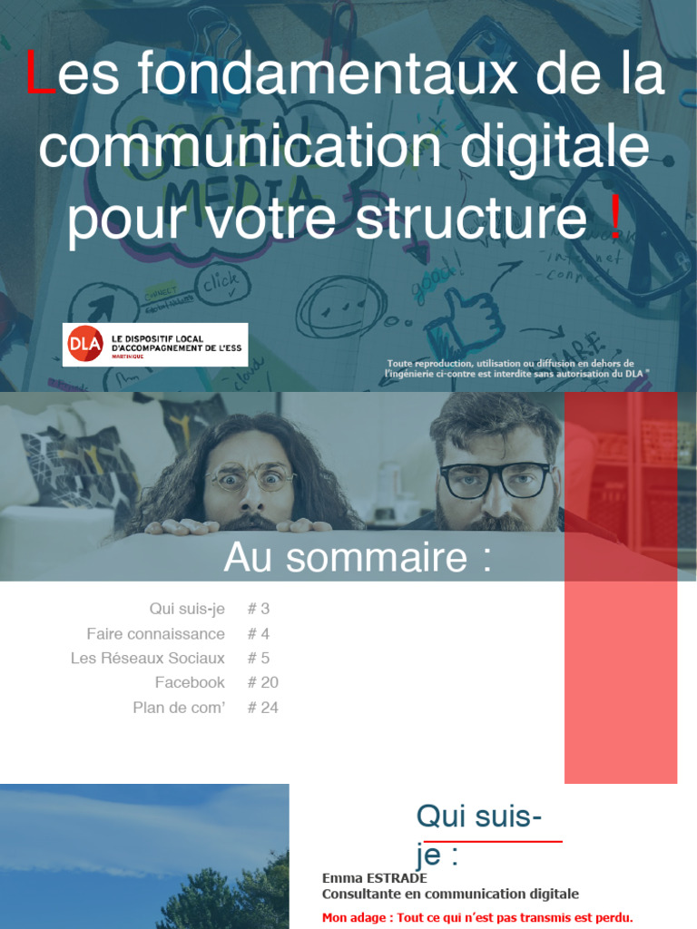 Les Fondamentaux de La Communication Digitale Pour Votre Structure | PDF
