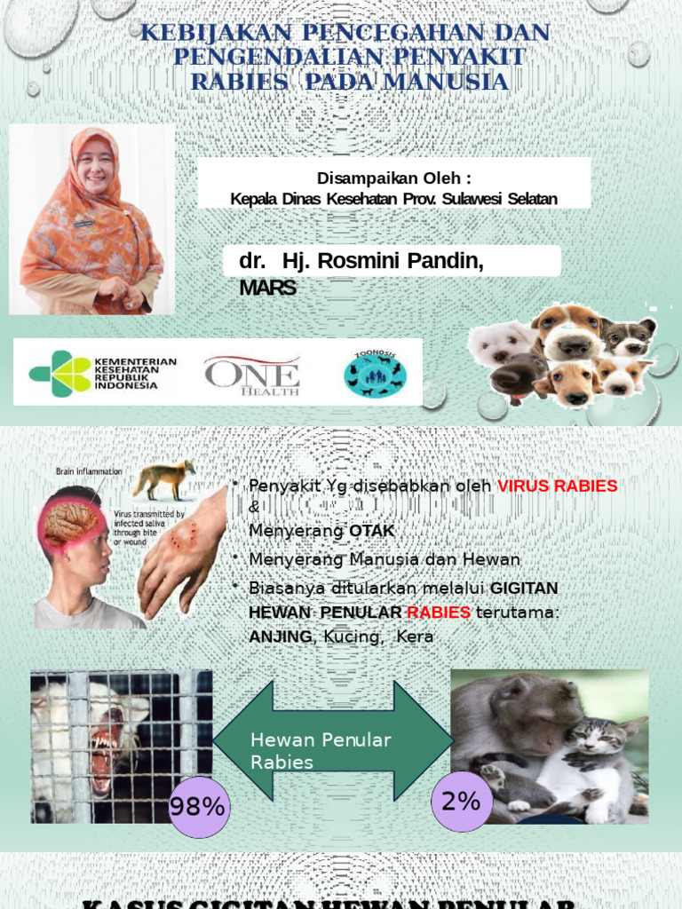 Materi RABIES Per 26 Juni 2023 OK PKM USA | PDF