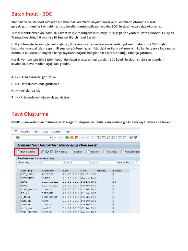 Batch Input 1 | PDF