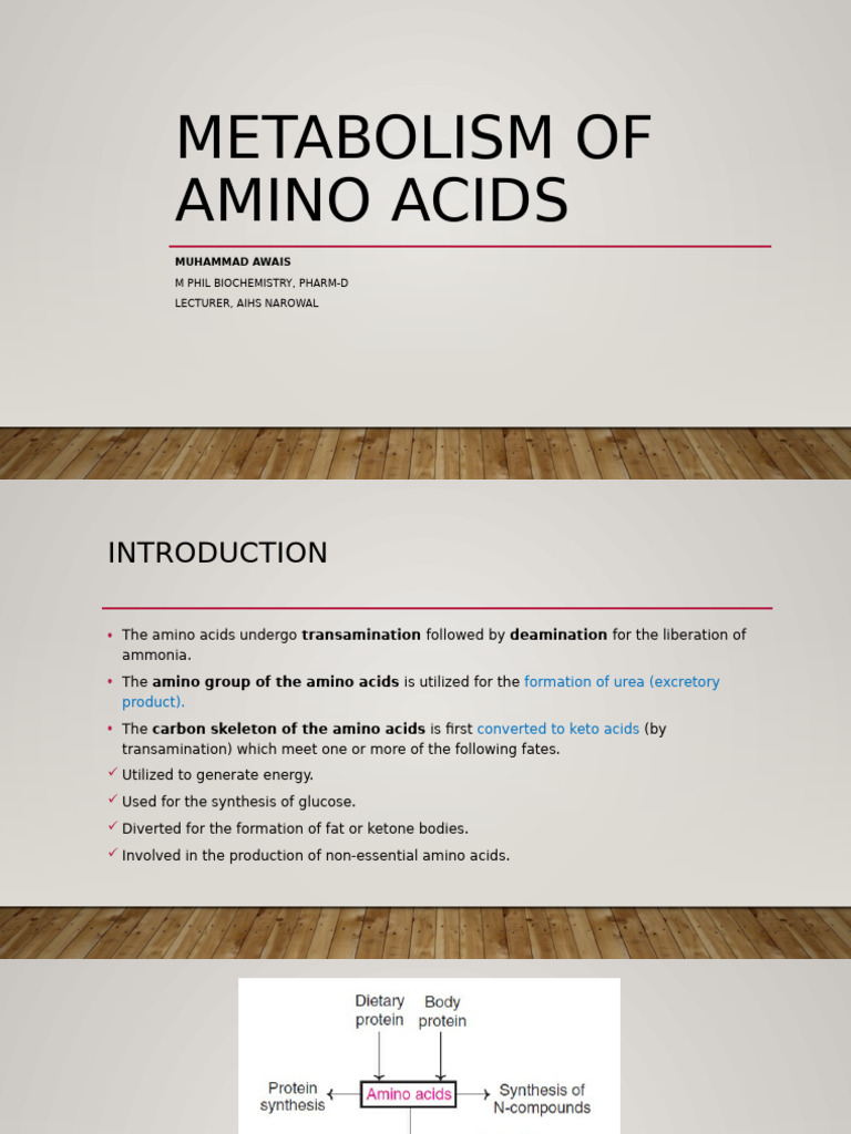 Metabolism of Amino Acids | PDF | Transaminase | Arginine