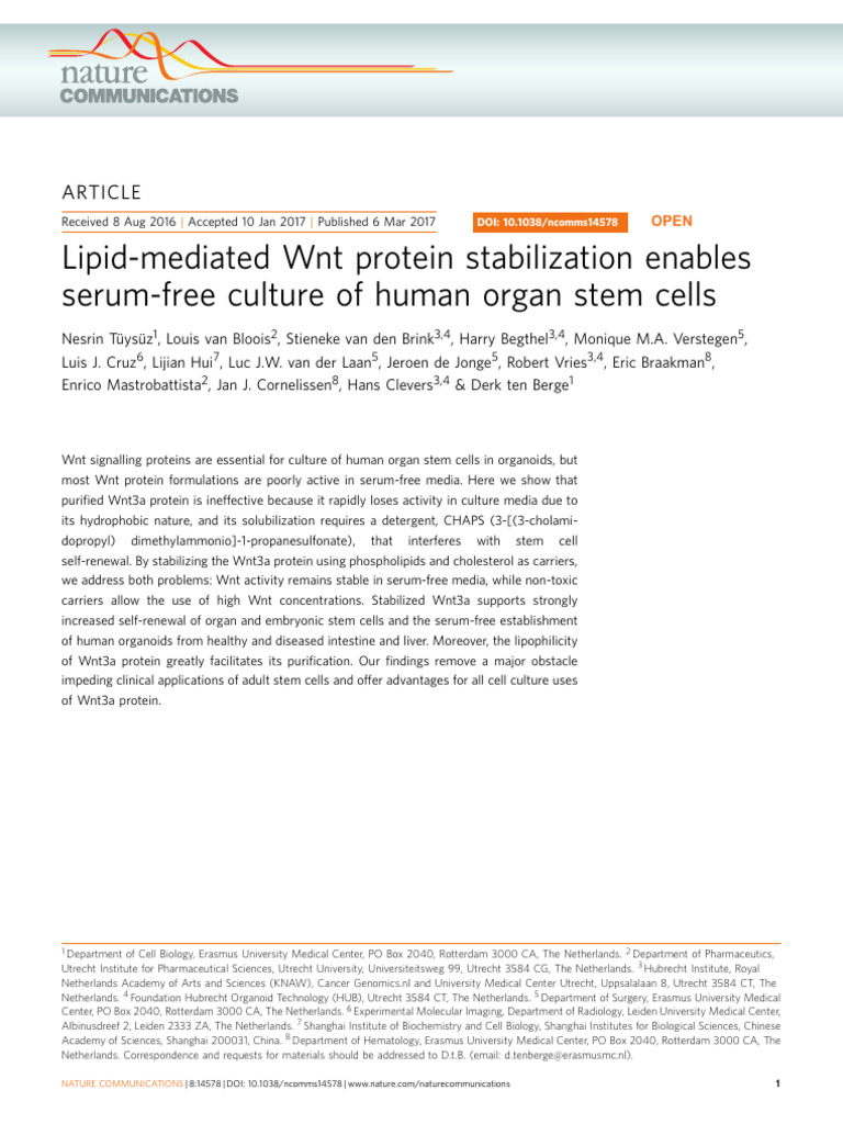 Lipidmediated Wnt Protein Stabilization Enables Serumfree Culture of