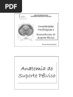 aula de anatomia e biomecânica do AP