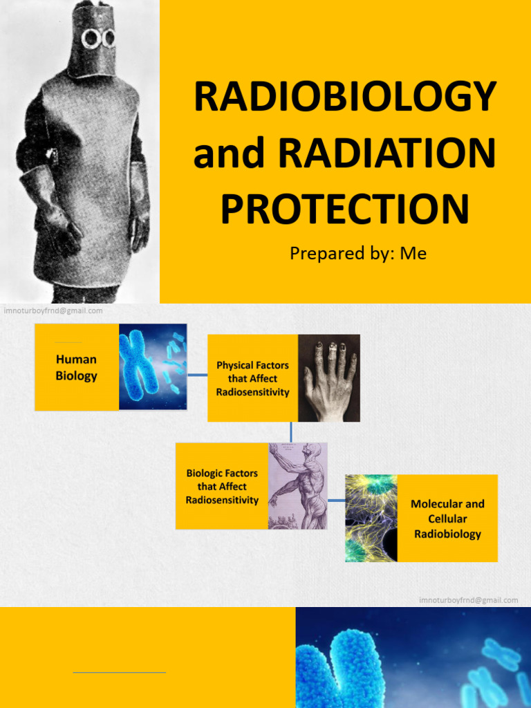 Radbio 1 | PDF | Mitosis | Meiosis