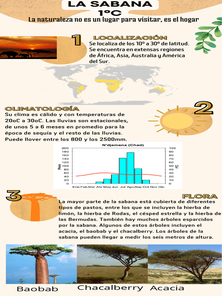 Características del Bioma de Sabana | PDF