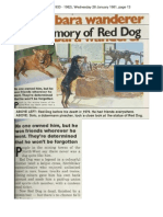 Red Dog Womans Weekly