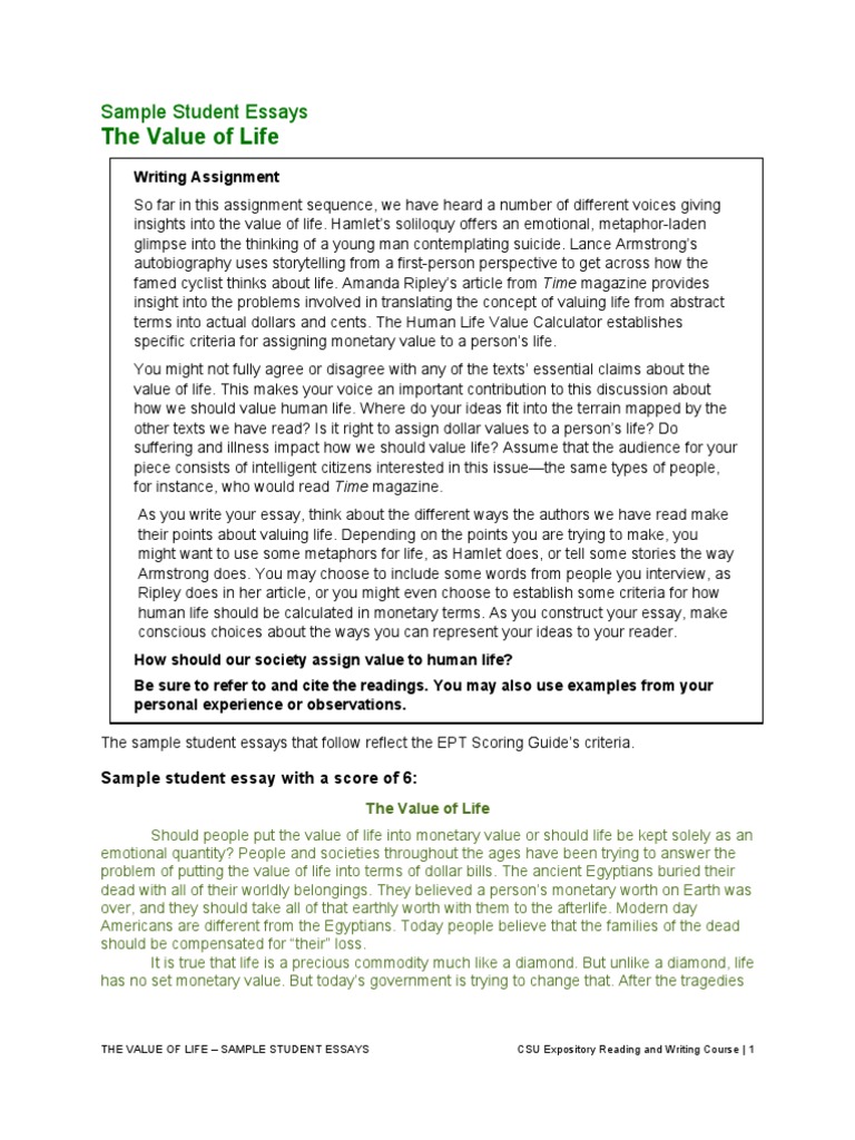 Value of human life essay picture