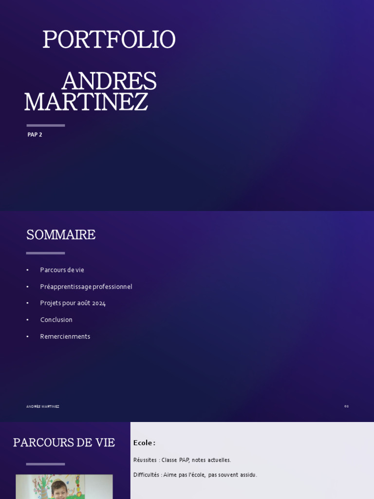 Portfolio of Andrés Martinez | PDF