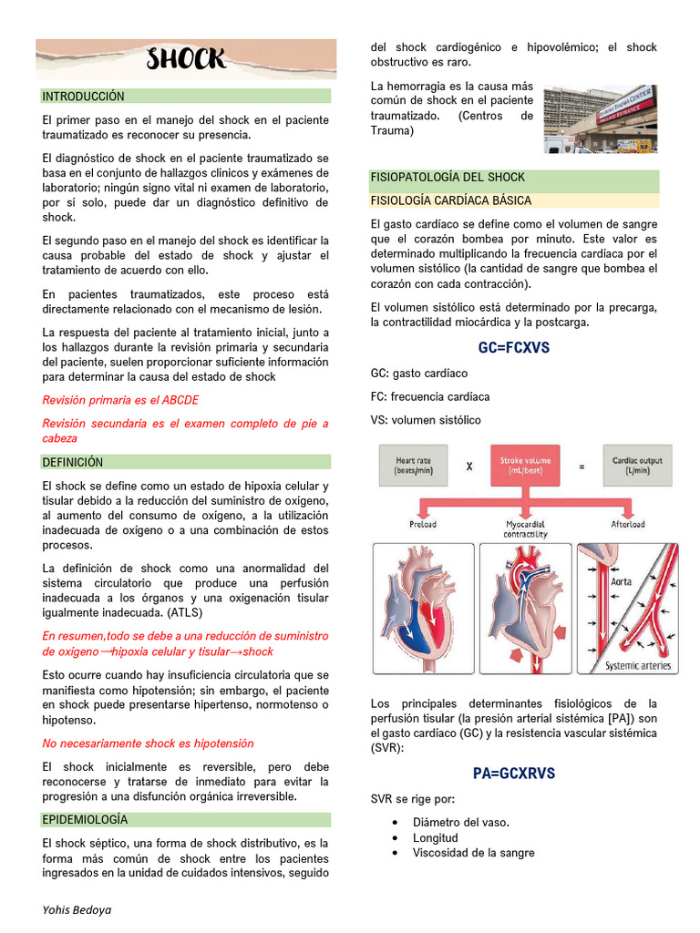 Manejo del Shock en Pacientes Traumatizados | PDF | Choque ...