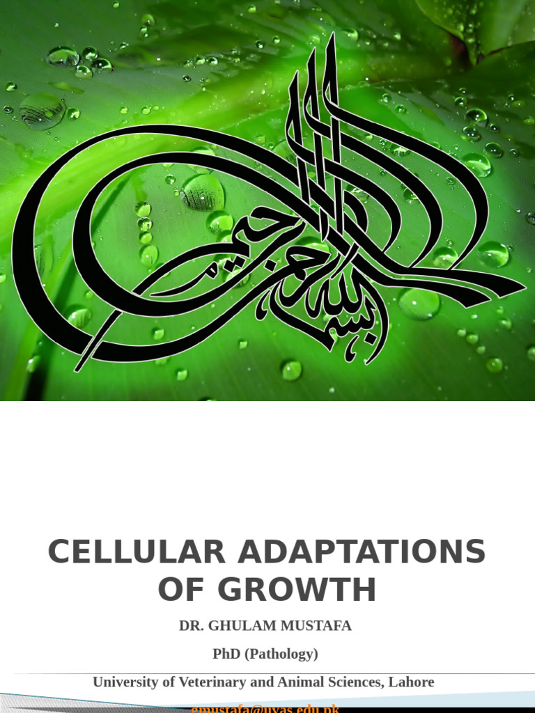 Lecture 3 cellular adaptations of growth pdf epithelium medical