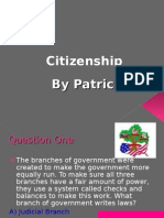 Citizenship Test by Patrick Sheedy