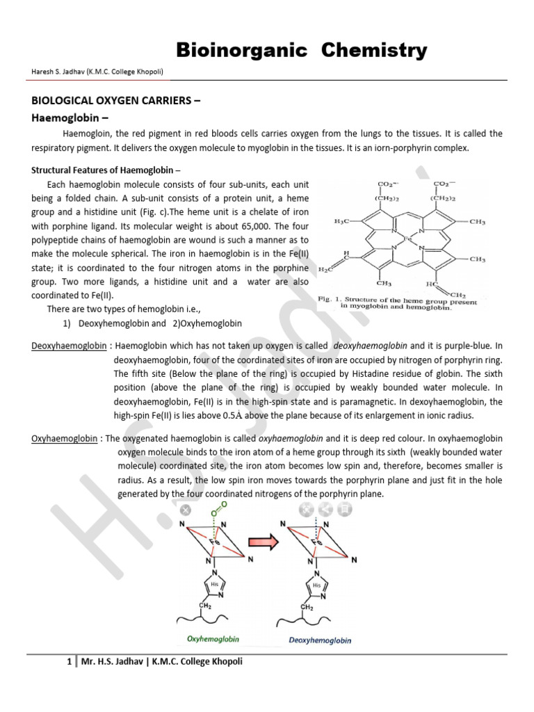 Bioinorganic Chemistry Overview | PDF | Hemoglobin | Iron