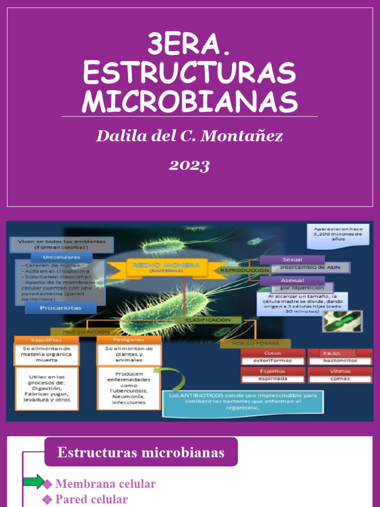 Estructuras Microbianas Básicas | PDF | Las bacterias | Pared celular