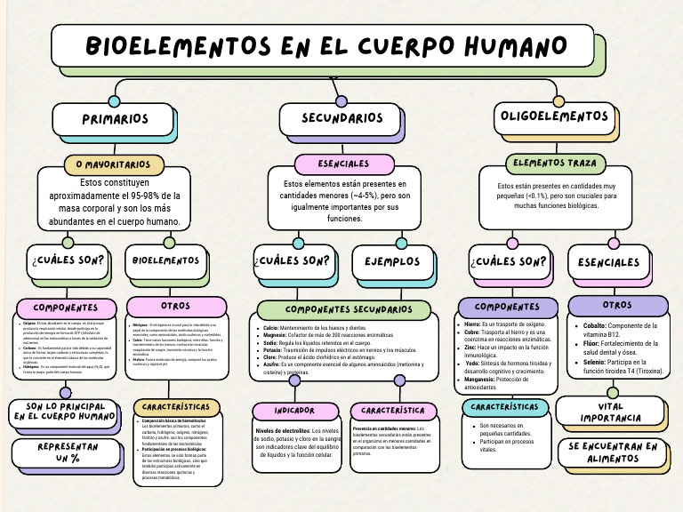 Bioelementos en el Cuerpo Humano | PDF