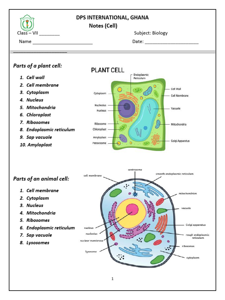 grade_7_Notes_cells1112131_230929_081601 3 | PDF | Cell (Biology ...