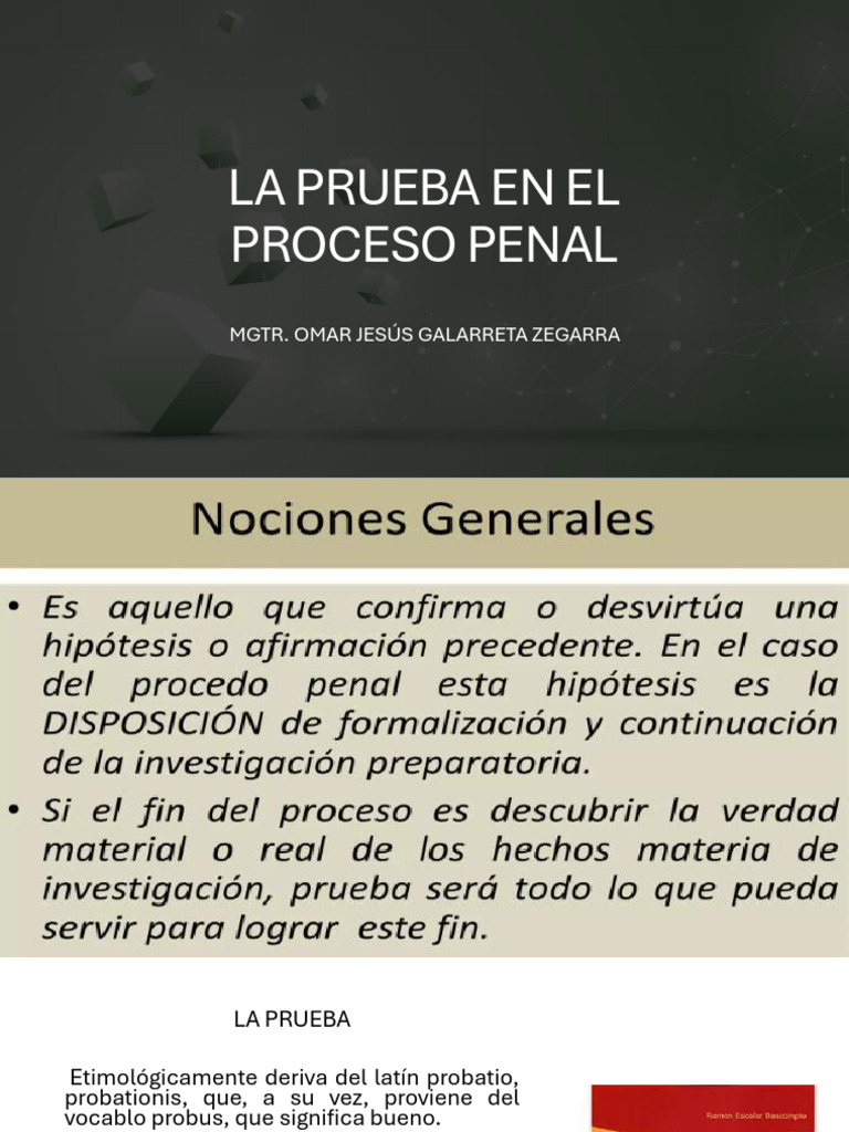 Importancia de la Prueba en el Proceso Penal | PDF | Evidencia (ley ...