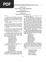 Транс балапан мен жігіт