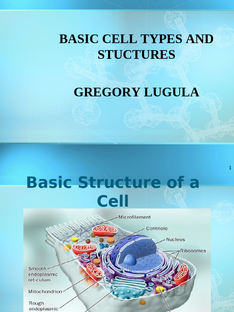 DESCRIBE STRUCTURE AND FUNCTION OF DIFFERENT TYPES OF CELLS intelligence overview