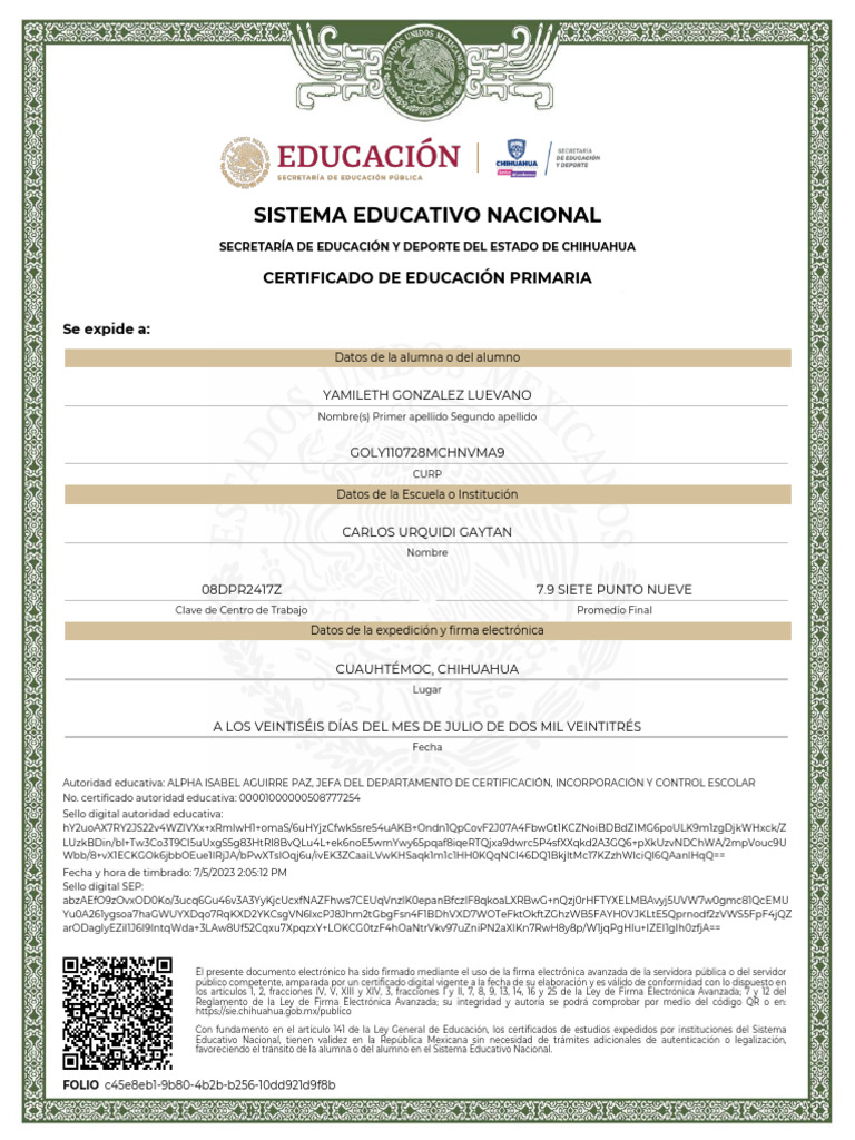 Ecert 20241016 7165 | PDF