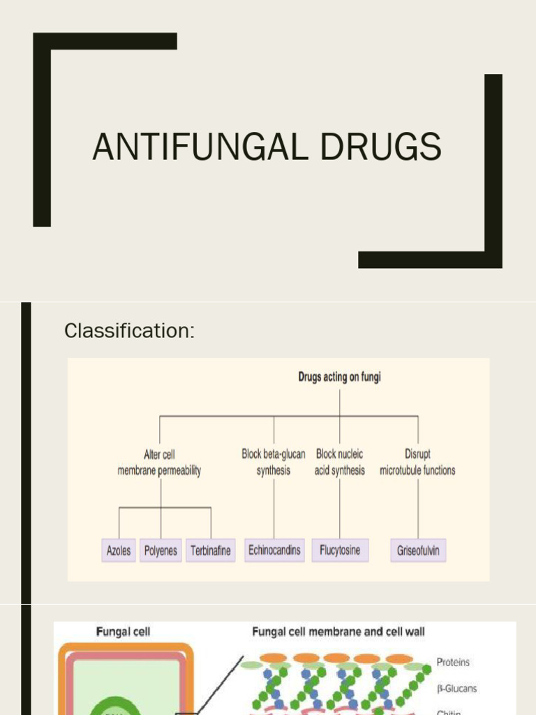 Antifungal Drugs: Types and Treatments | PDF | Candidiasis | Medical ...