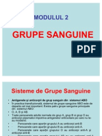 Grupe Sanguine