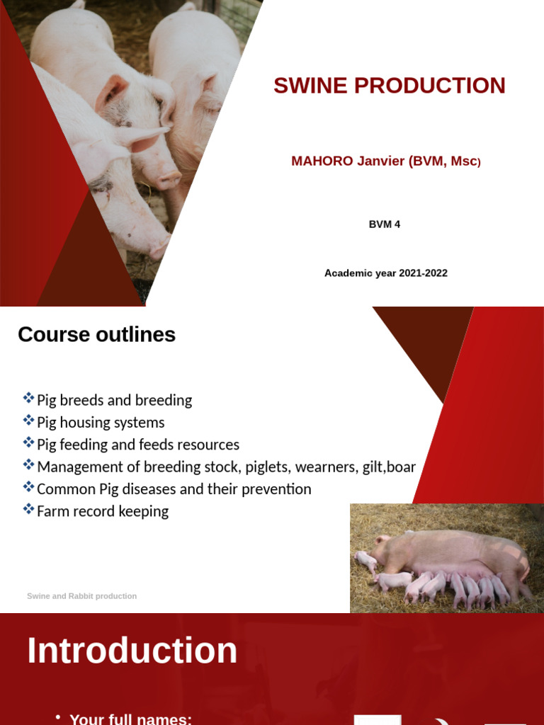 Swine Production Management Overview | PDF | Pig | Meat