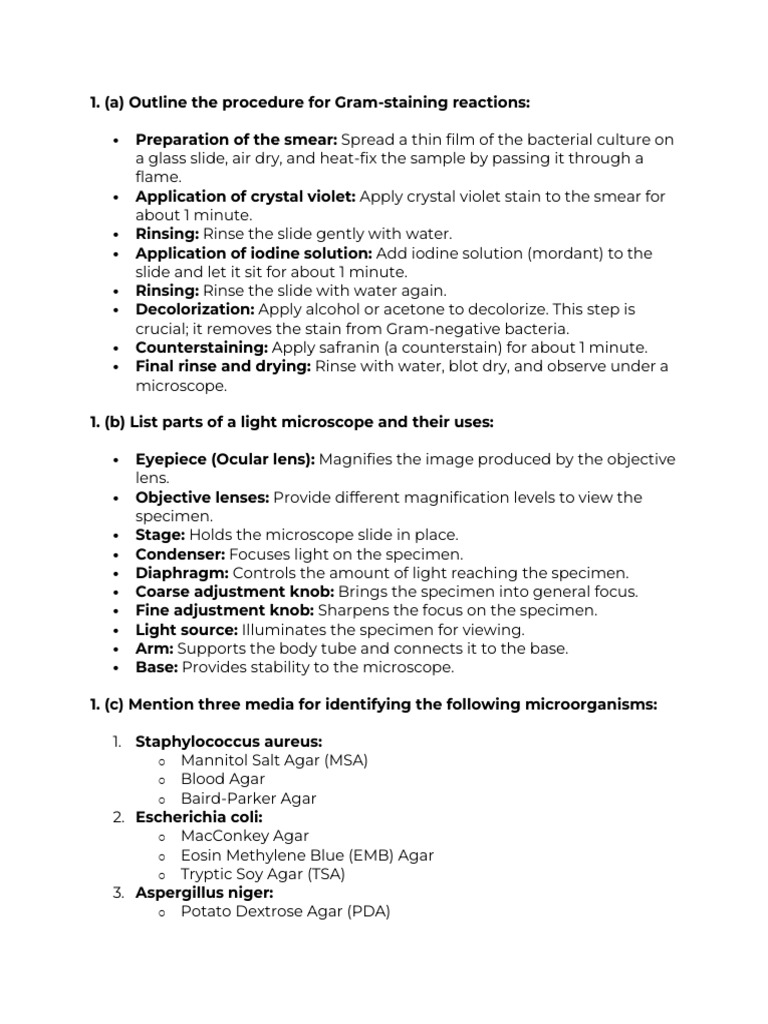 Major Microorganism Groups Overview | PDF | Bacteria | Infection
