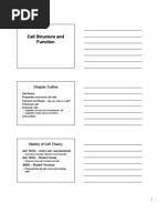 Cell Organelles Worksheet KEY | Organelle