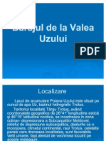 Baraj Valea Uzului