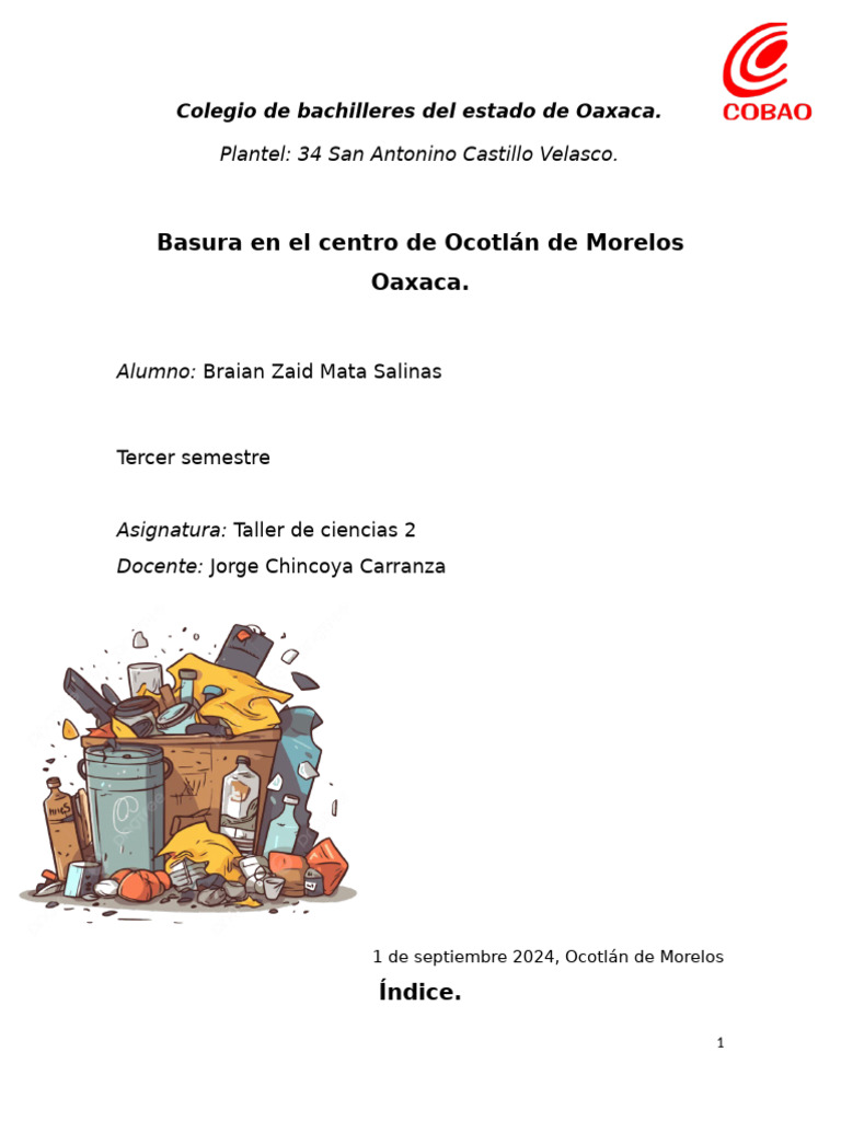 Basura en Ocotlán: Problemas y Soluciones | PDF | Residuos | Gestión de ...