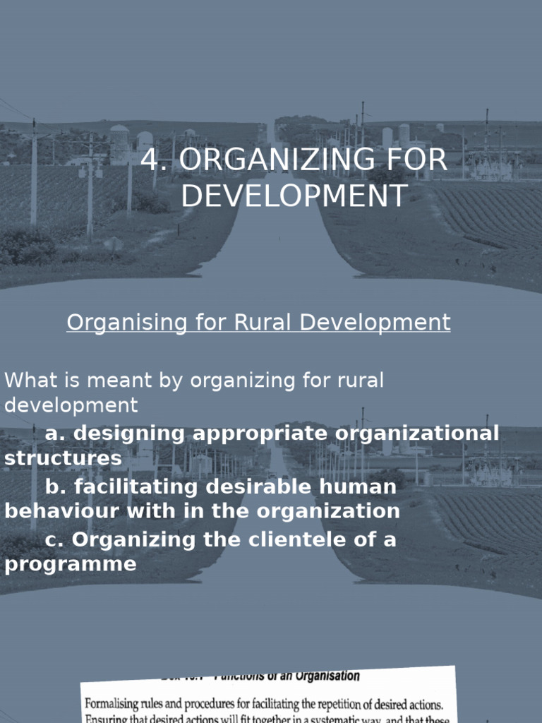 5 - Organizing For Development | PDF | System