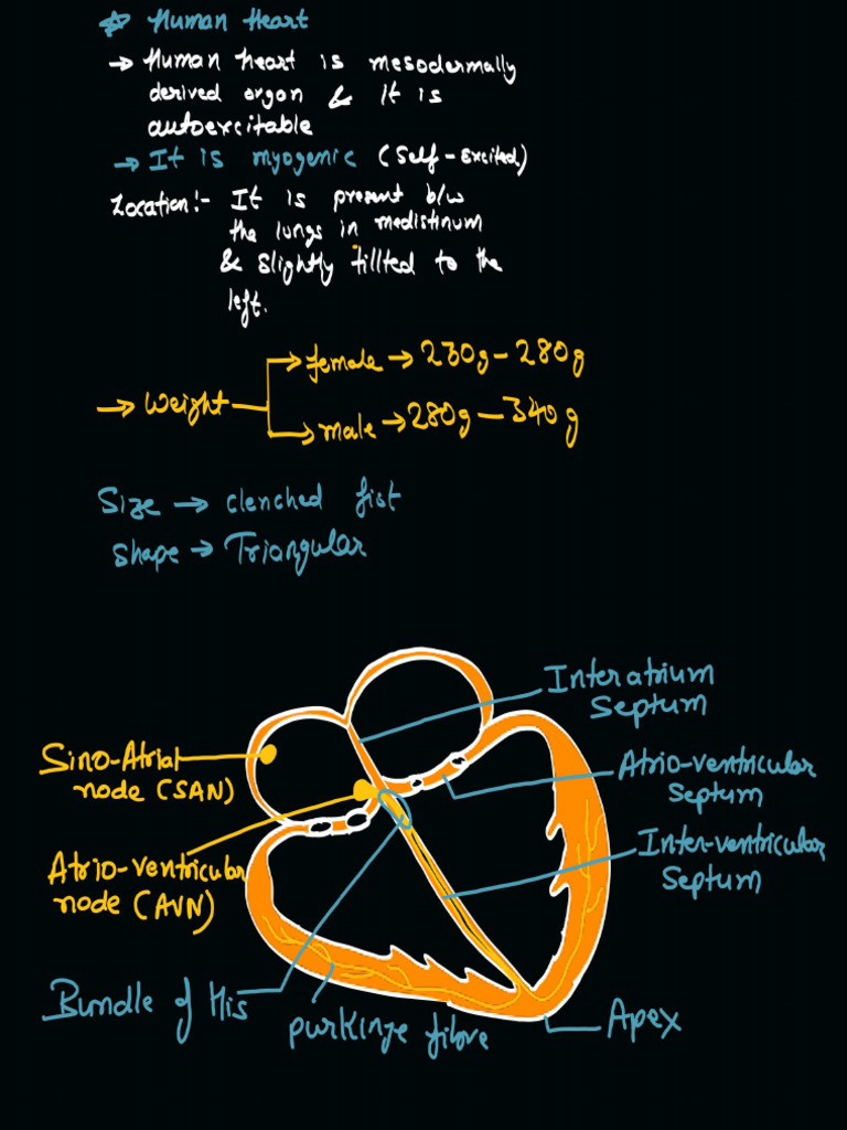 HEART | PDF